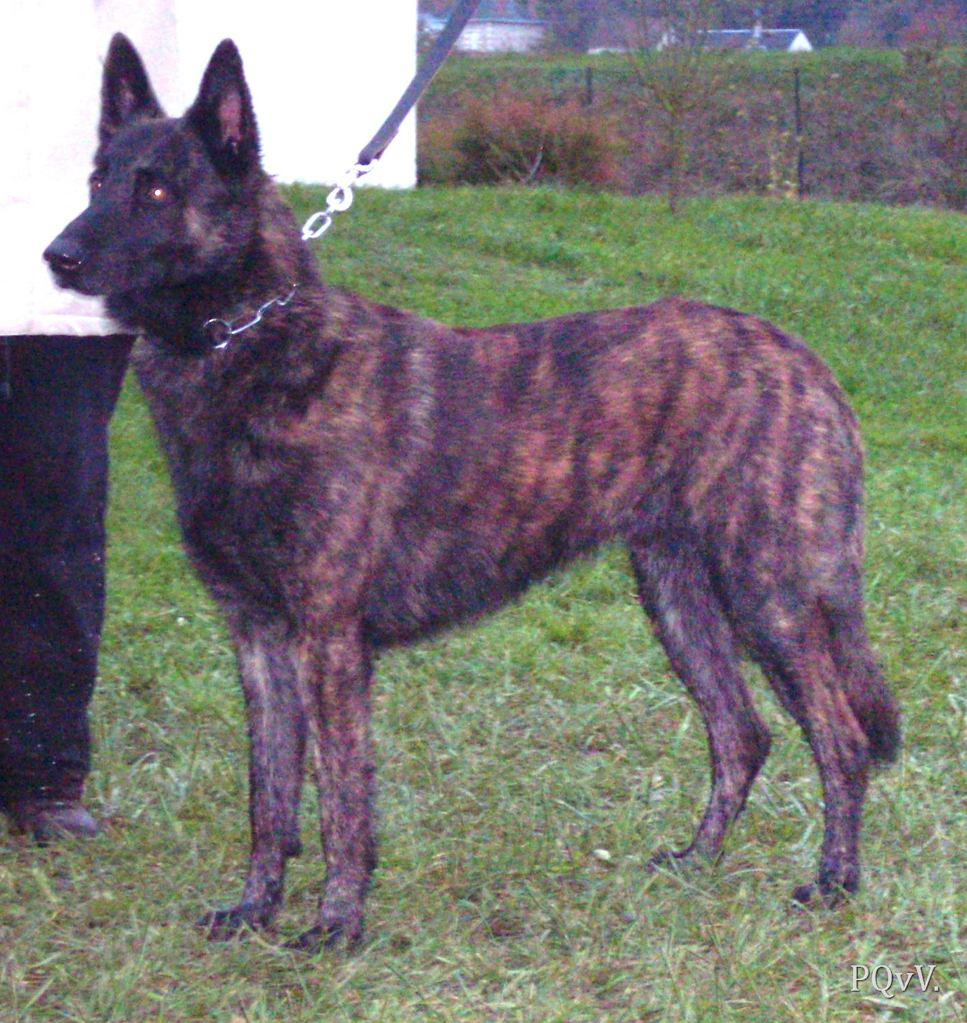  Eole des Crocs de l’Olympe